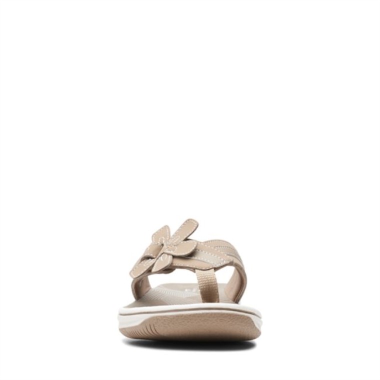 Topo Flora Brinkley Topo Clarks