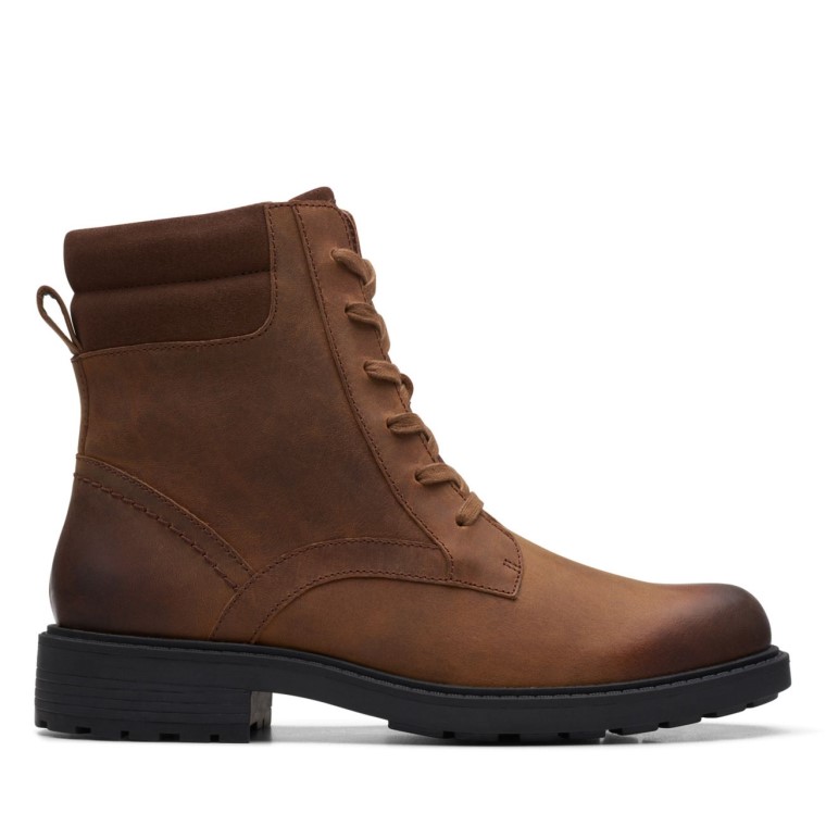 Tabaco Moreno Clarks Orinoco2 Especia Tabaco Moreno