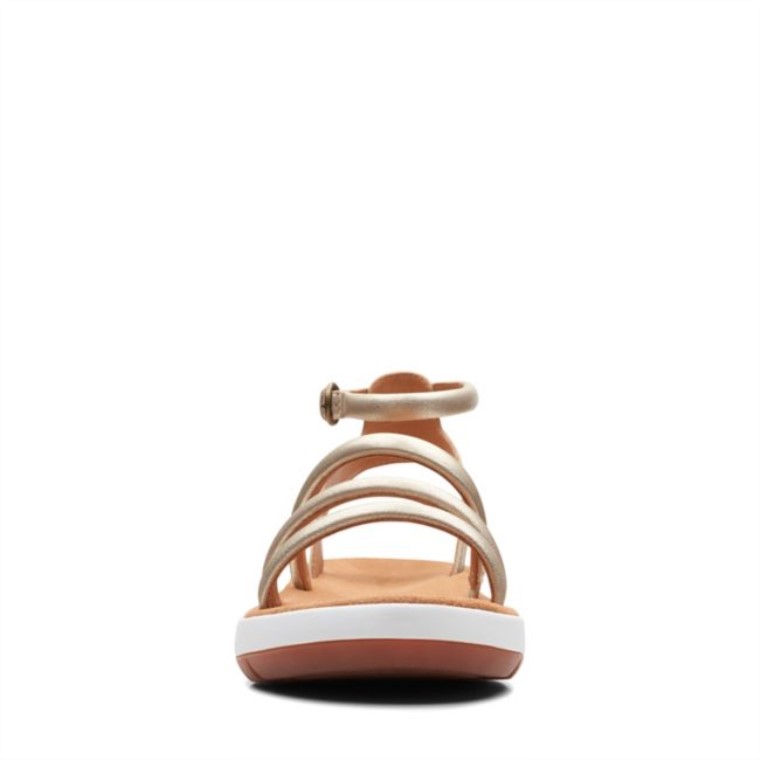 Cuero Champán Estilo Jemsa Cuero Champán Clarks