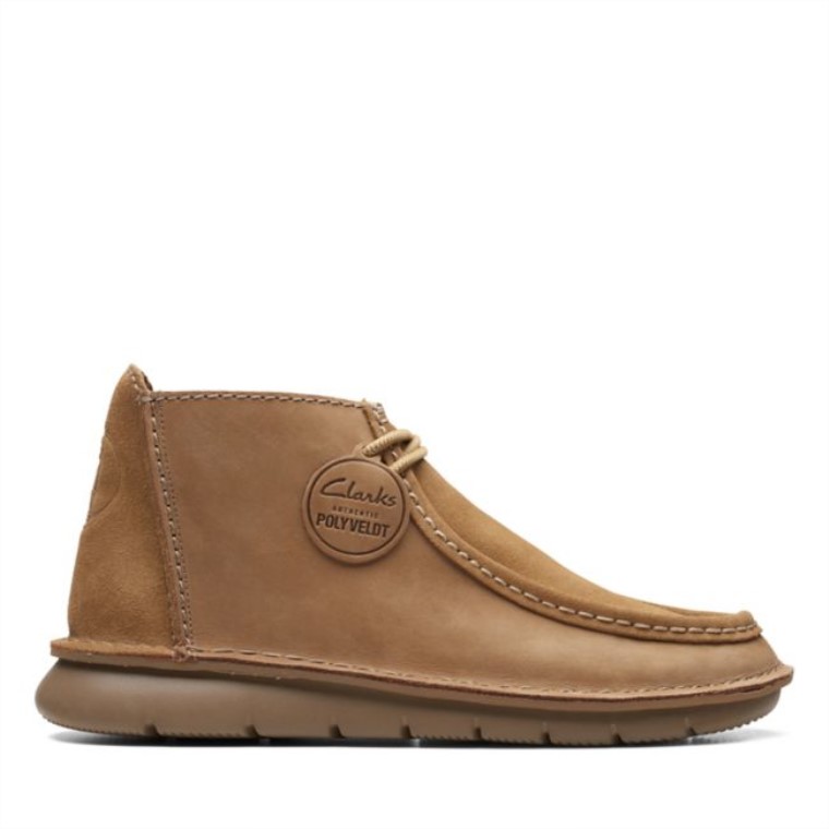 Colehill Wally Arena Nobuk Clarks Arena Nobuk