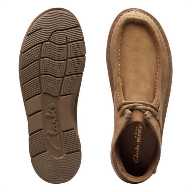 Colehill Wally Arena Nobuk Clarks Arena Nobuk