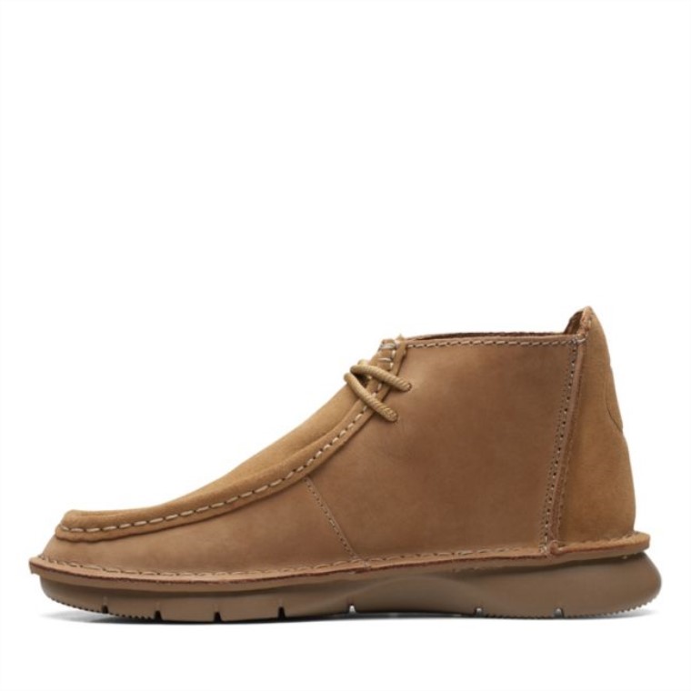Colehill Wally Arena Nobuk Clarks Arena Nobuk