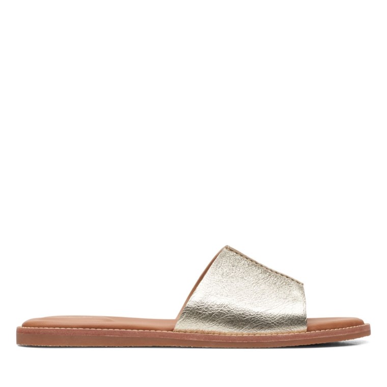 Karsea Mula Champán Clarks Champán