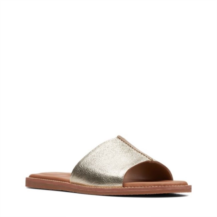 Karsea Mula Champán Clarks Champán