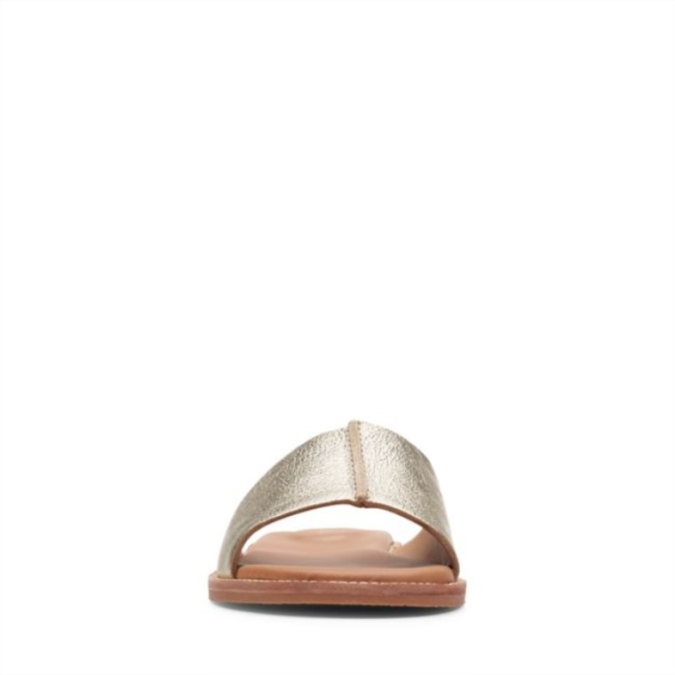 Karsea Mula Champán Clarks Champán