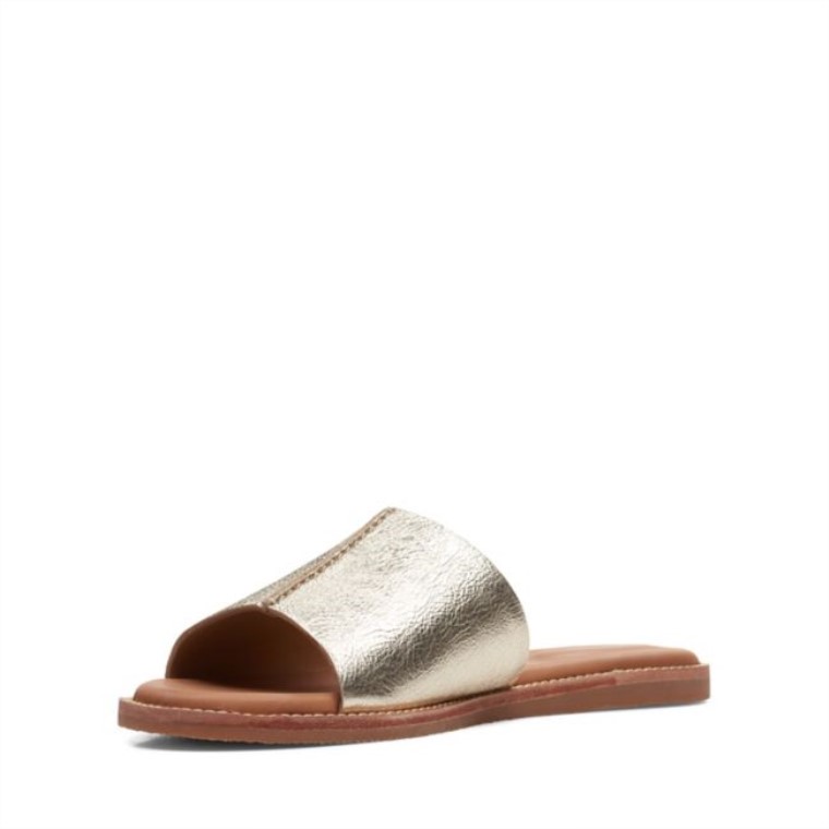 Karsea Mula Champán Clarks Champán
