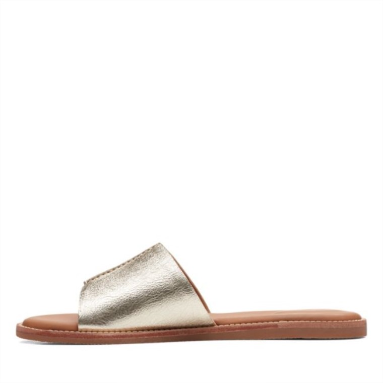 Karsea Mula Champán Clarks Champán