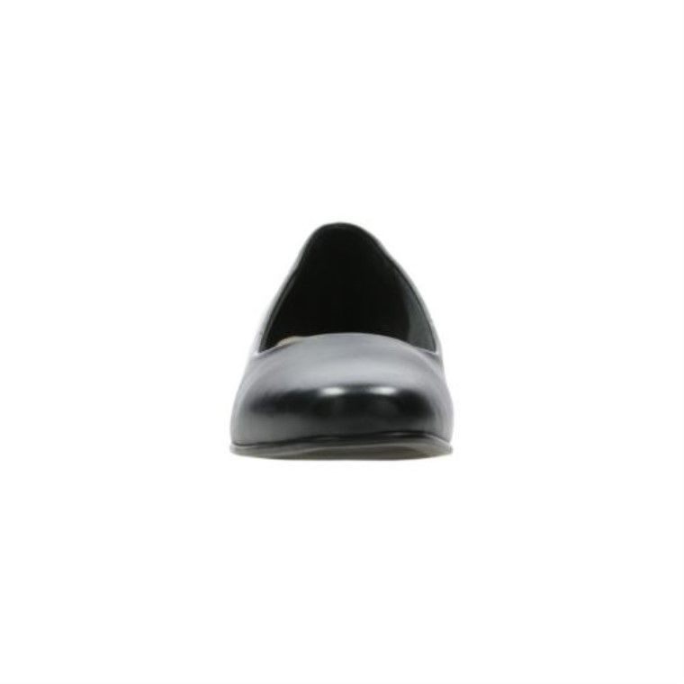 Lirio De Cadew Negro De Clarks