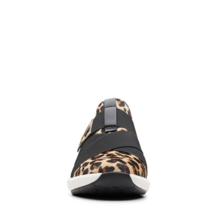 Correa Clarks Leopardo Un Rio
