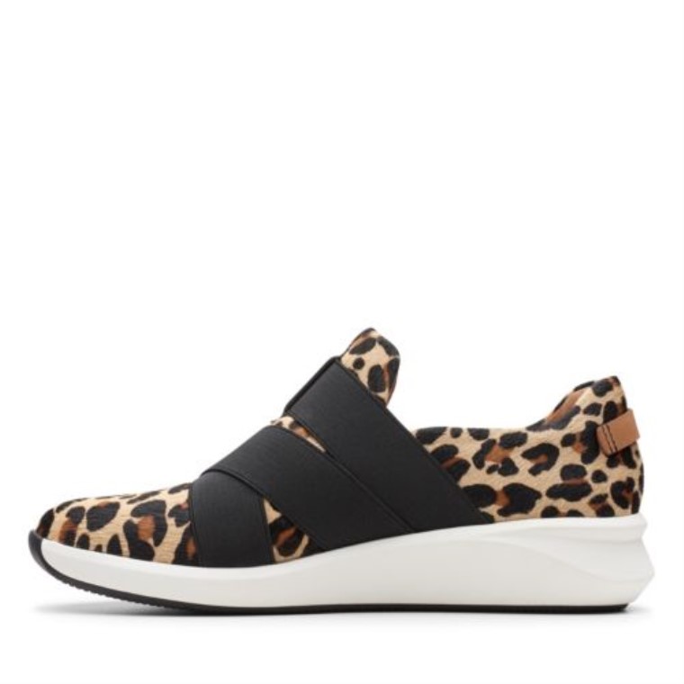 Correa Clarks Leopardo Un Rio