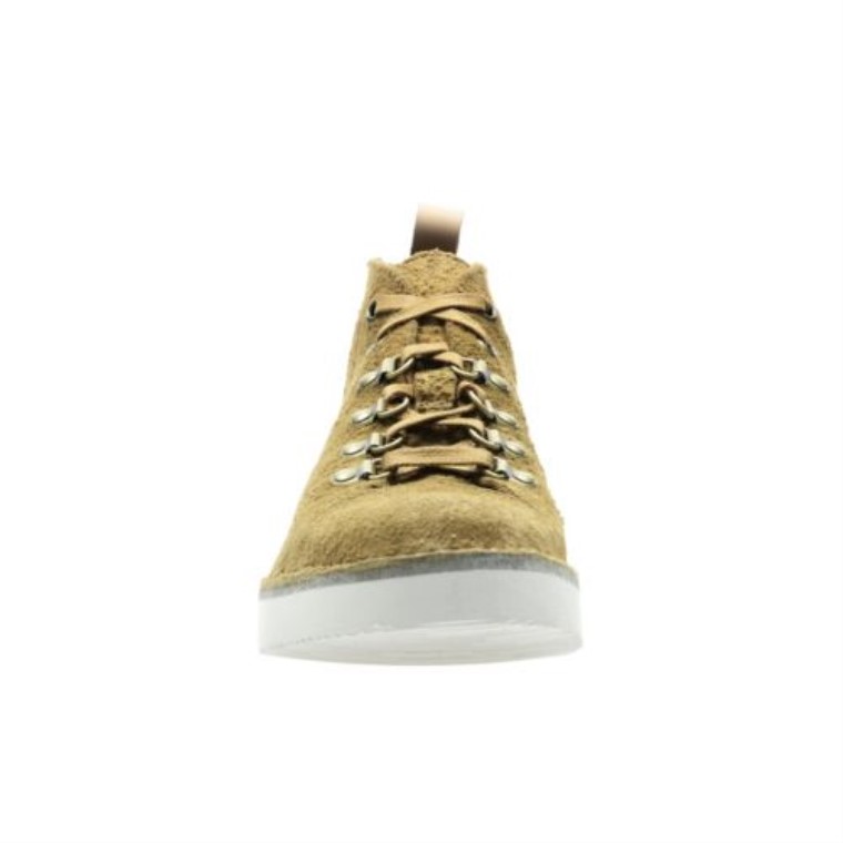 Caminata Fuera De Clarks Oak