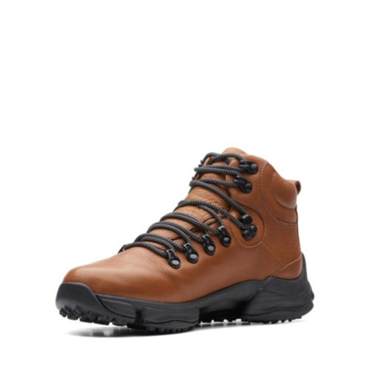 Pastel De Canela Clarks Tri Path Day2 Gtx