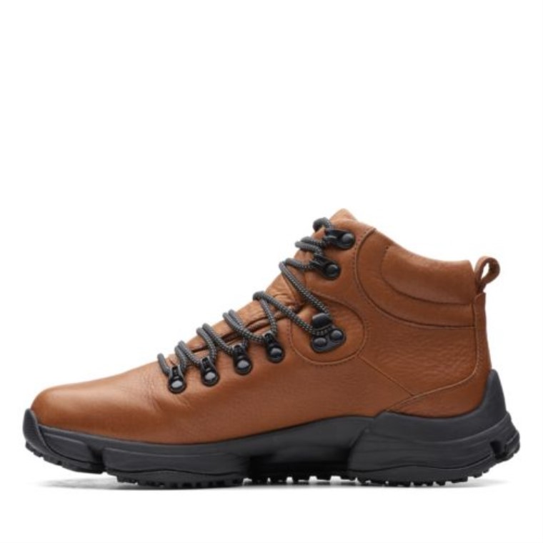 Pastel De Canela Clarks Tri Path Day2 Gtx