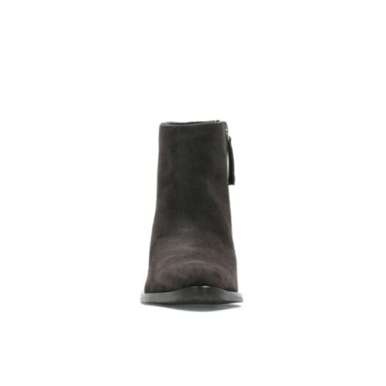 Ante Marron Oscuro Clarks Isabella 2 Zip