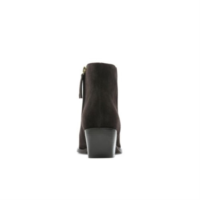 Ante Marron Oscuro Clarks Isabella 2 Zip