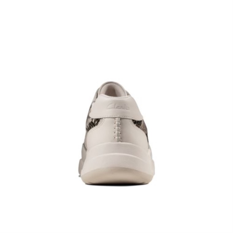 Serpiente Gris Clarks Tamizar Encaje
