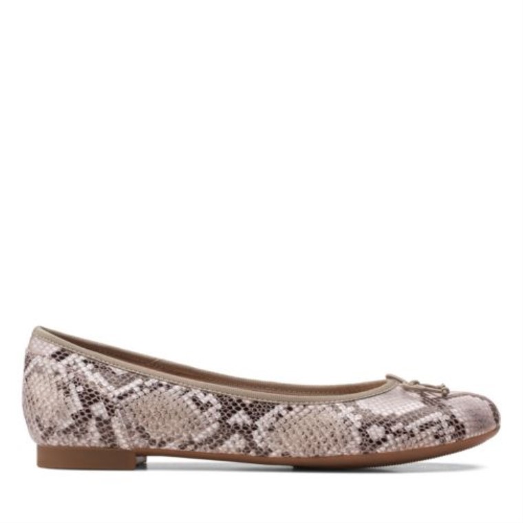 Serpiente Natural Clarks Couture Bloom