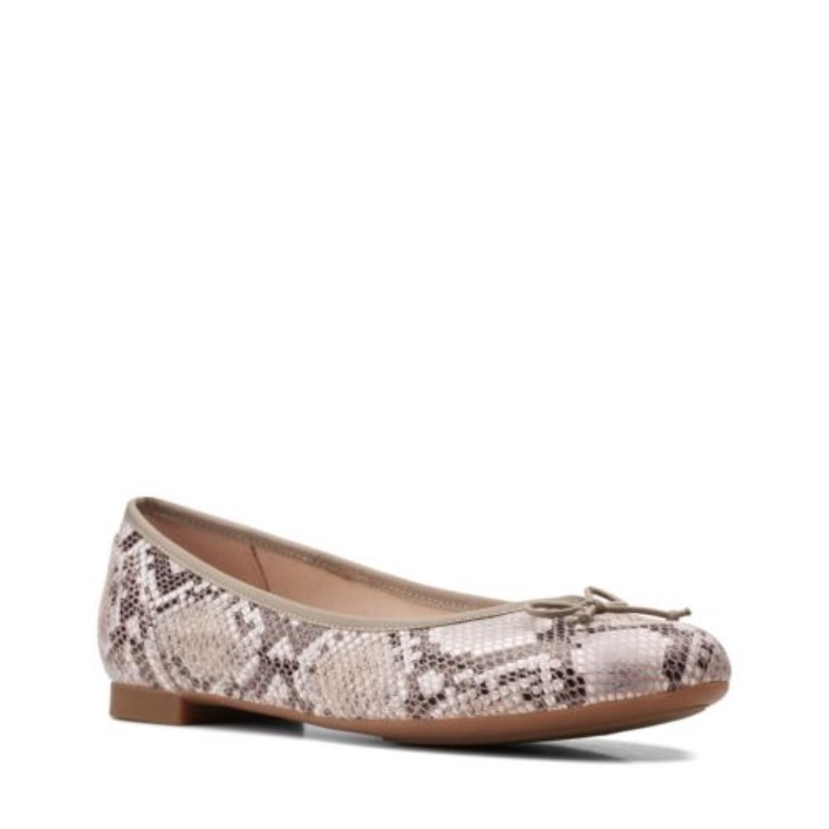 Serpiente Natural Clarks Couture Bloom