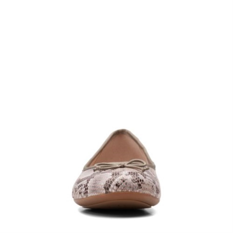 Serpiente Natural Clarks Couture Bloom