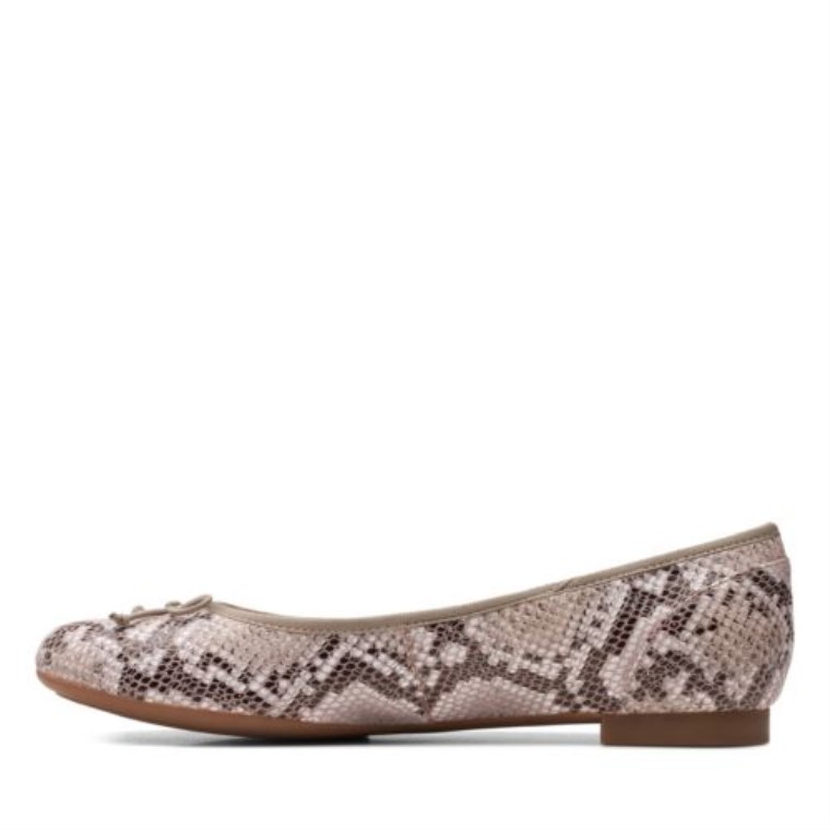 Serpiente Natural Clarks Couture Bloom