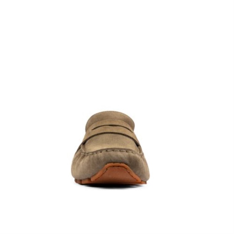 Antes Oliva Clarks Oswick Pluma La