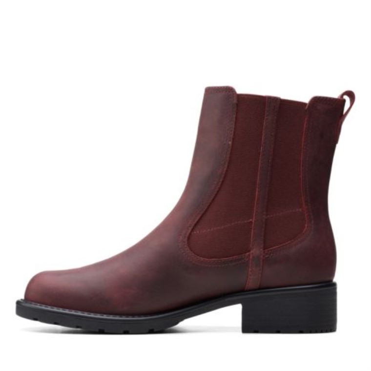 Orinoco Club Merlot Cuero Clarks