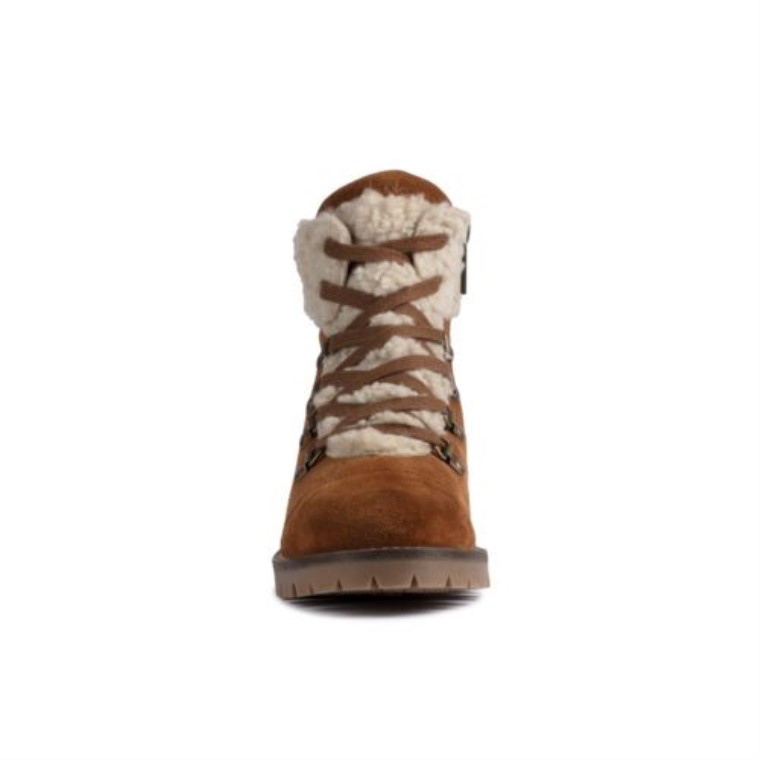 Roseleigh Sky Clarks Ante Tostado Oscuro
