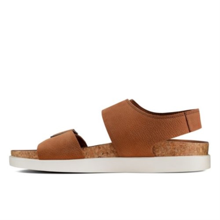 Sunder Beach Clarks Nobuk Bronceado Oscuro