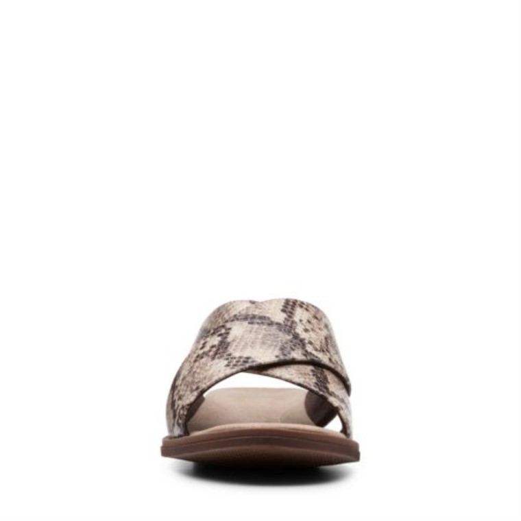 Taupe Serpiente Sintético Declan Ivy Clarks