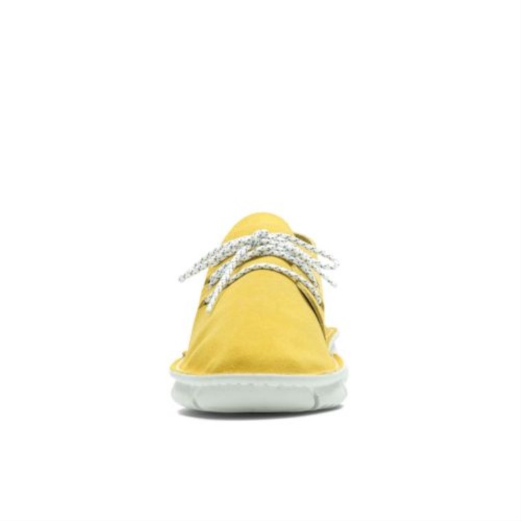 Ante Amarillo Clarks Origen