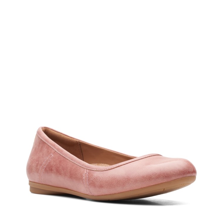 Rosa Clarks Canebay Llanura